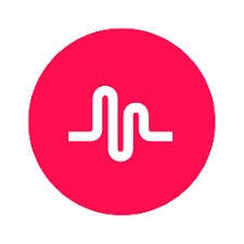Musical.ly, l&rsquo;application qui valait 1 milliard !